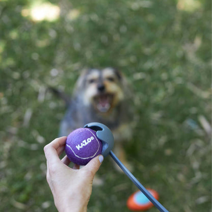 Eco-Friendly Ball Thrower Dog Toy