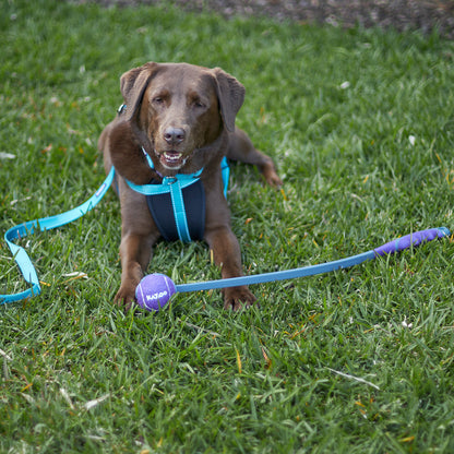 Eco-Friendly Ball Thrower Dog Toy