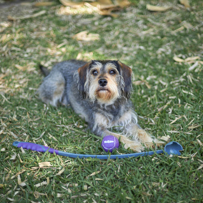 Eco-Friendly Ball Thrower Dog Toy