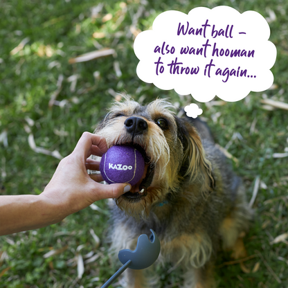 Eco-Friendly Ball Thrower Dog Toy