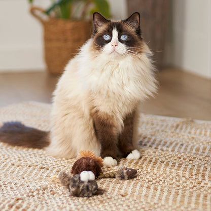 Eco-Friendly Gone Fishing with catnip and recycled materials