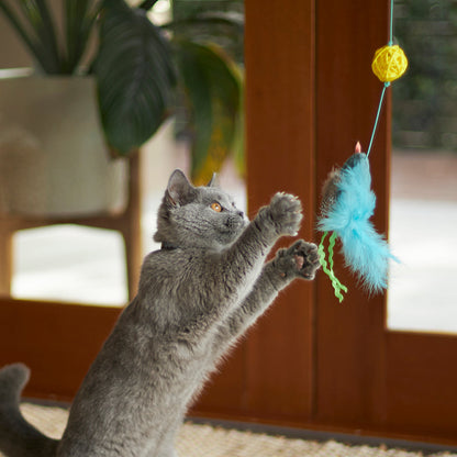 Bluebird Chase & Play Wand