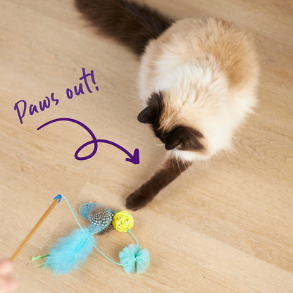 Bluebird Chase & Play Wand