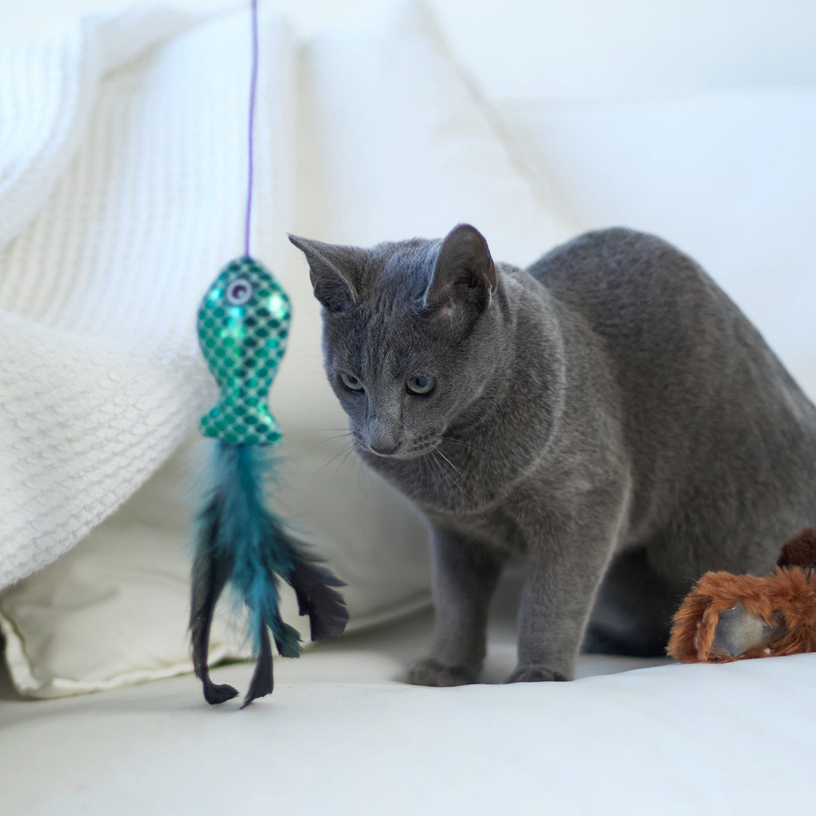 Ripple Fish Chase & Play Wand