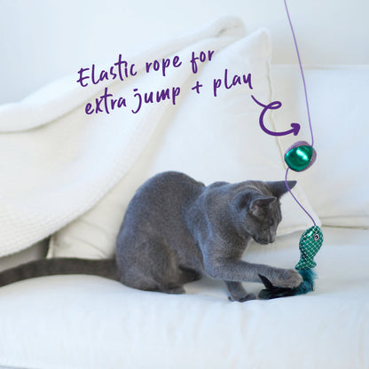 Ripple Fish Chase & Play Wand