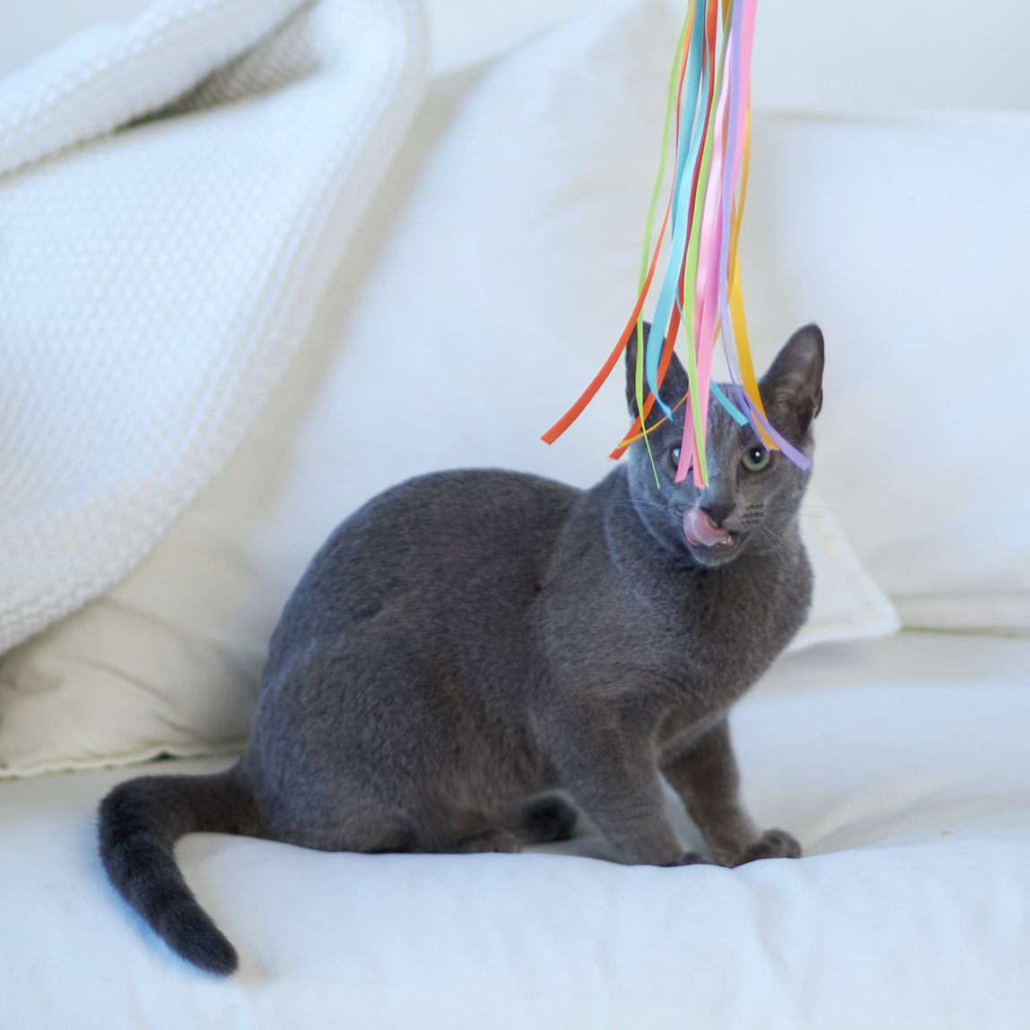 Streamer Fish Play and Catch Wand