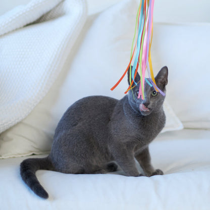 Streamer Fish Play and Catch Wand