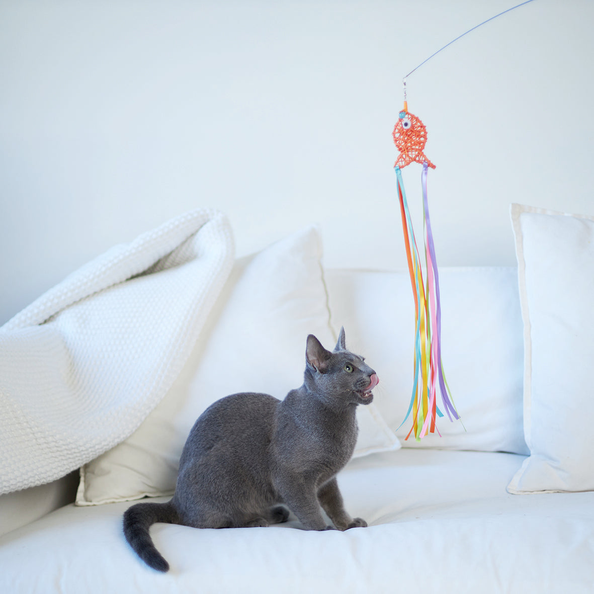 Streamer Fish Play and Catch Wand