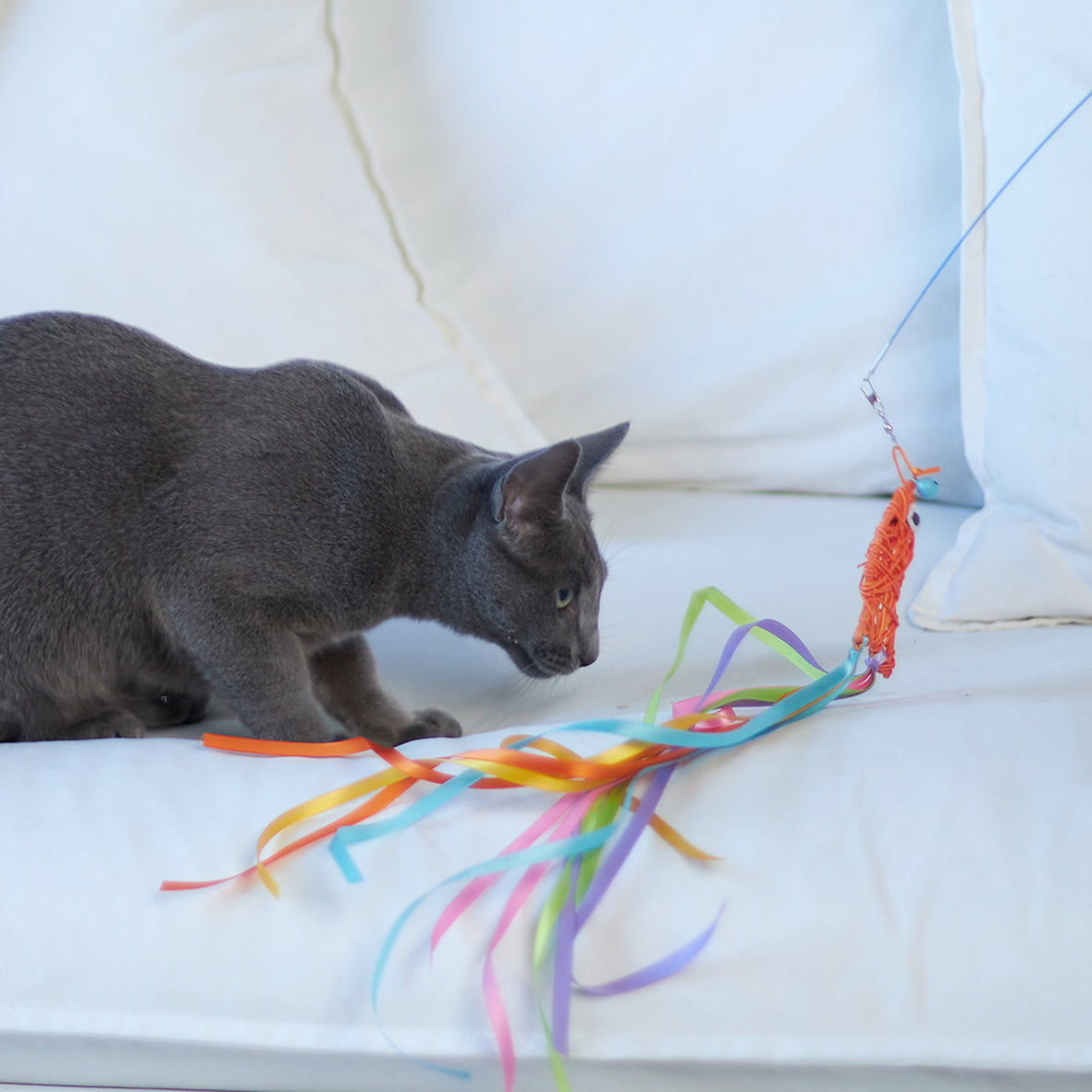 Streamer Fish Play and Catch Wand