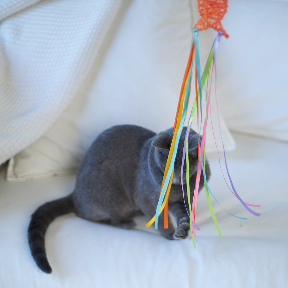 Streamer Fish Play and Catch Wand