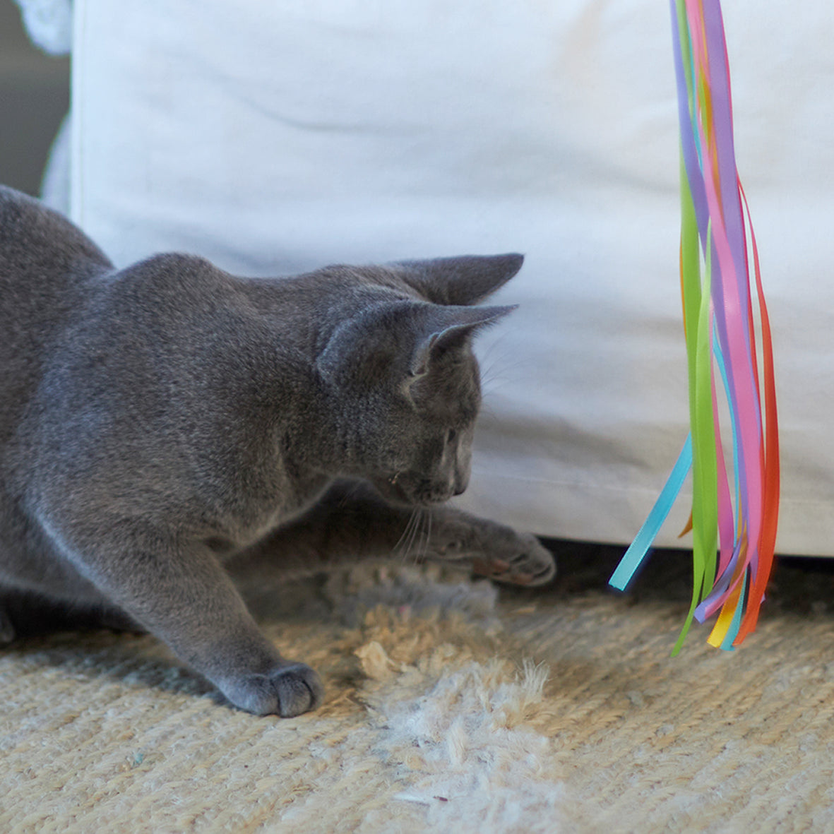 Streamer Fish Play and Catch Wand