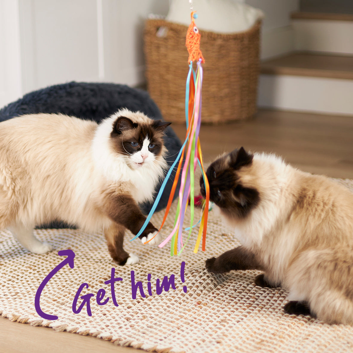 Streamer Fish Play and Catch Wand