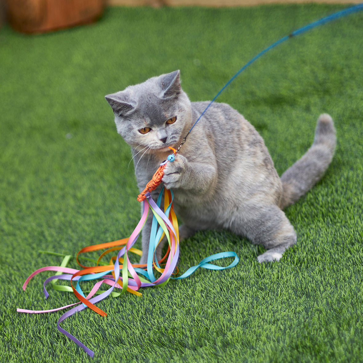 Streamer Fish Play and Catch Wand