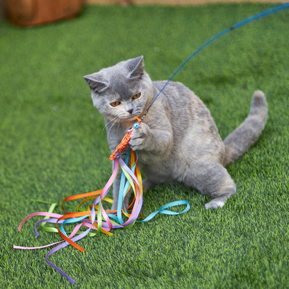 Streamer Fish Play and Catch Wand