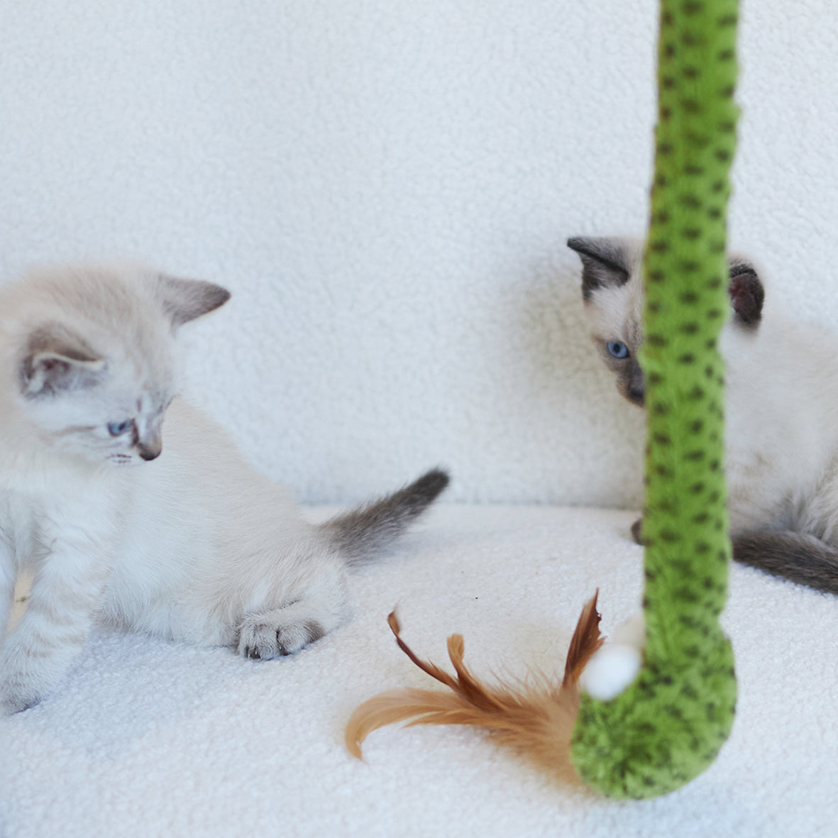 Spotty Snake Play & Chase Wand