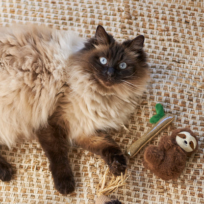 Jungle Sloth with catnip and silvervine