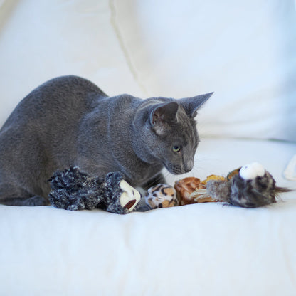 Velcro Worm with catnip and velcro balls