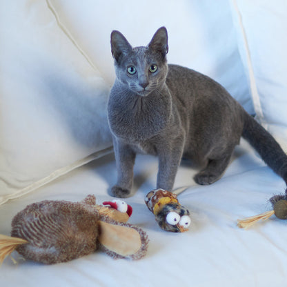 Velcro Worm with catnip and velcro balls