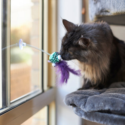 Bouncy Fish with catnip and spring suction cap