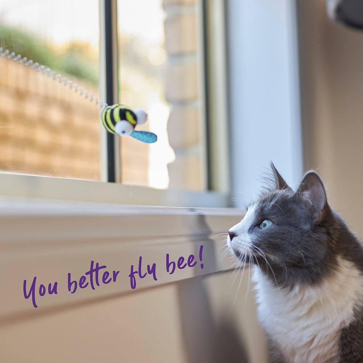 Bouncy Bee with catnip and spring suction cap