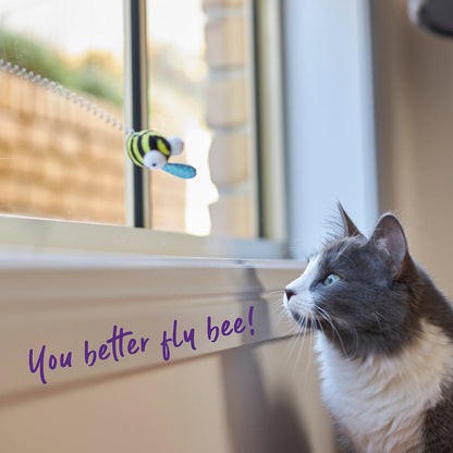 Bouncy Bee with catnip and spring suction cap