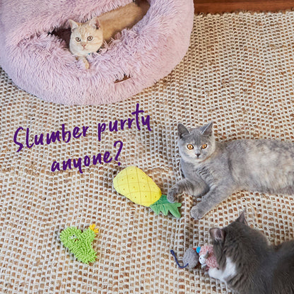 Crinkly Pineapple with catnip