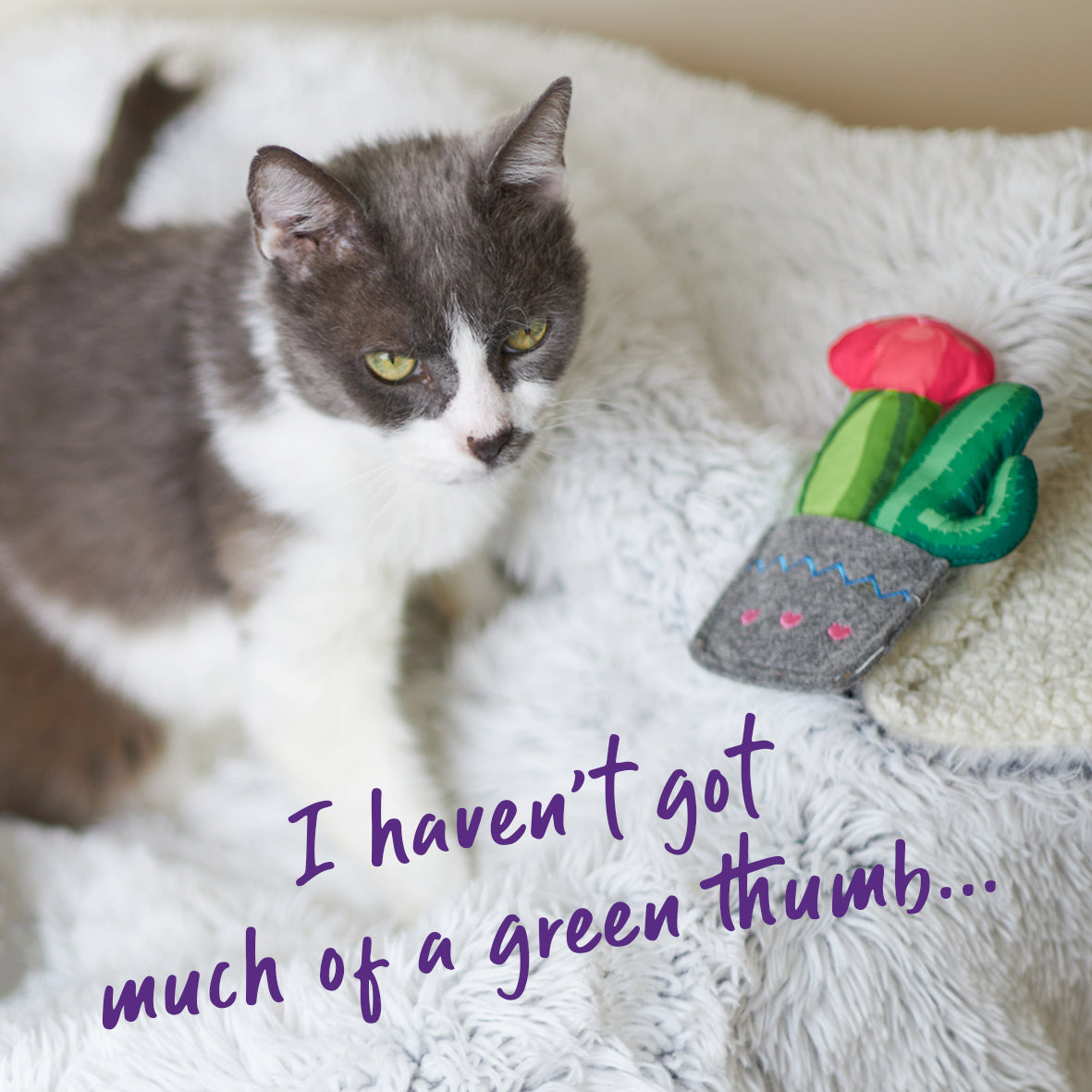 Cactus Garden cat toy w/ catnip