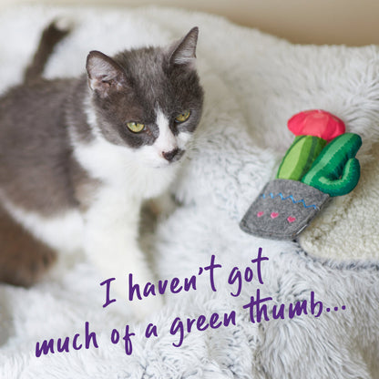 Cactus Garden cat toy w/ catnip
