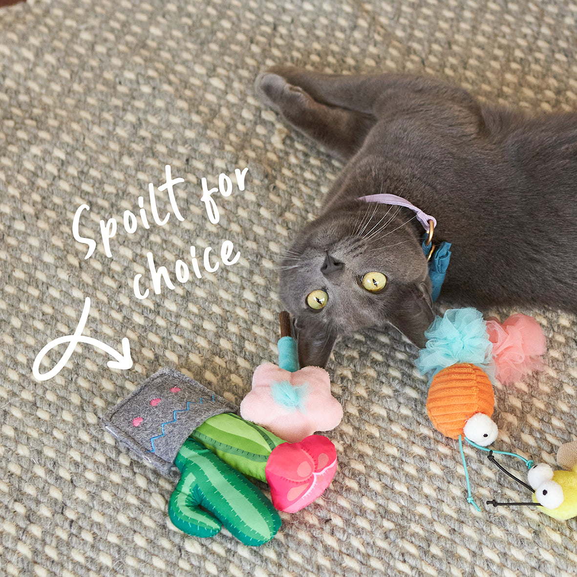 Cactus Garden cat toy w/ catnip