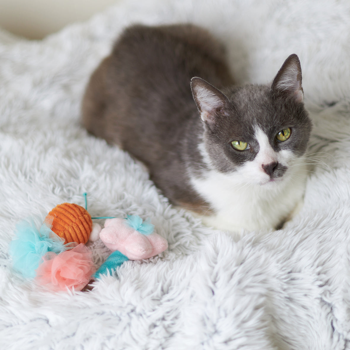 Garden Treats cat toy w/ silvervine