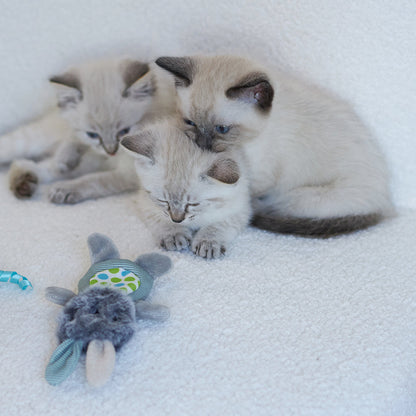 Grumpy Rabbit With Catnip & Silvervine Cat Toy