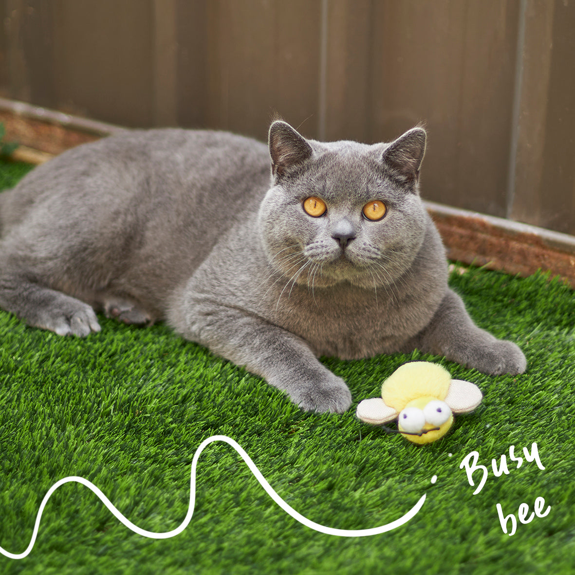 Noisy Busy Bee with sound chip and catnip