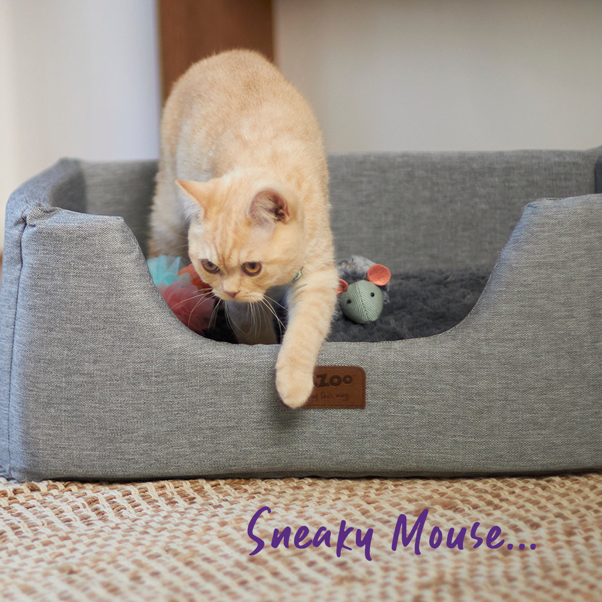 Noisy Mouse with sound chip and catnip