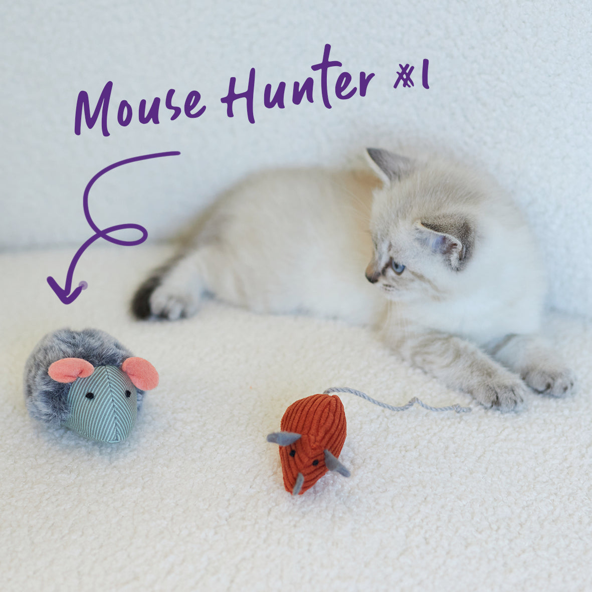 Noisy Mouse with sound chip and catnip