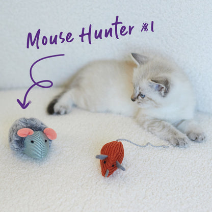 Noisy Mouse with sound chip and catnip