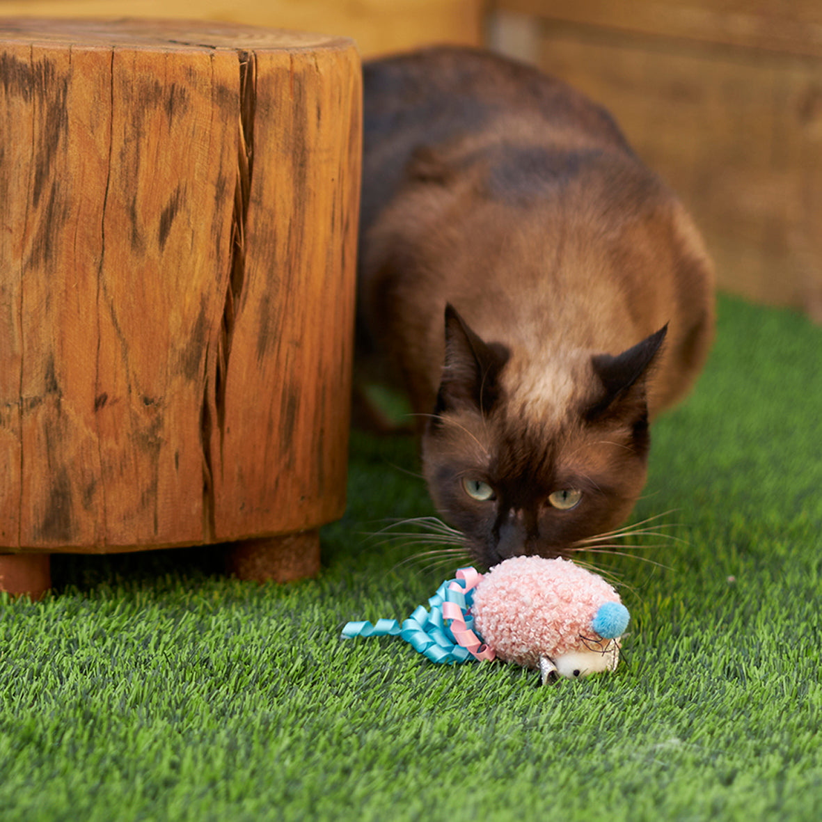 Pinky Mouse with sound chip and catnip