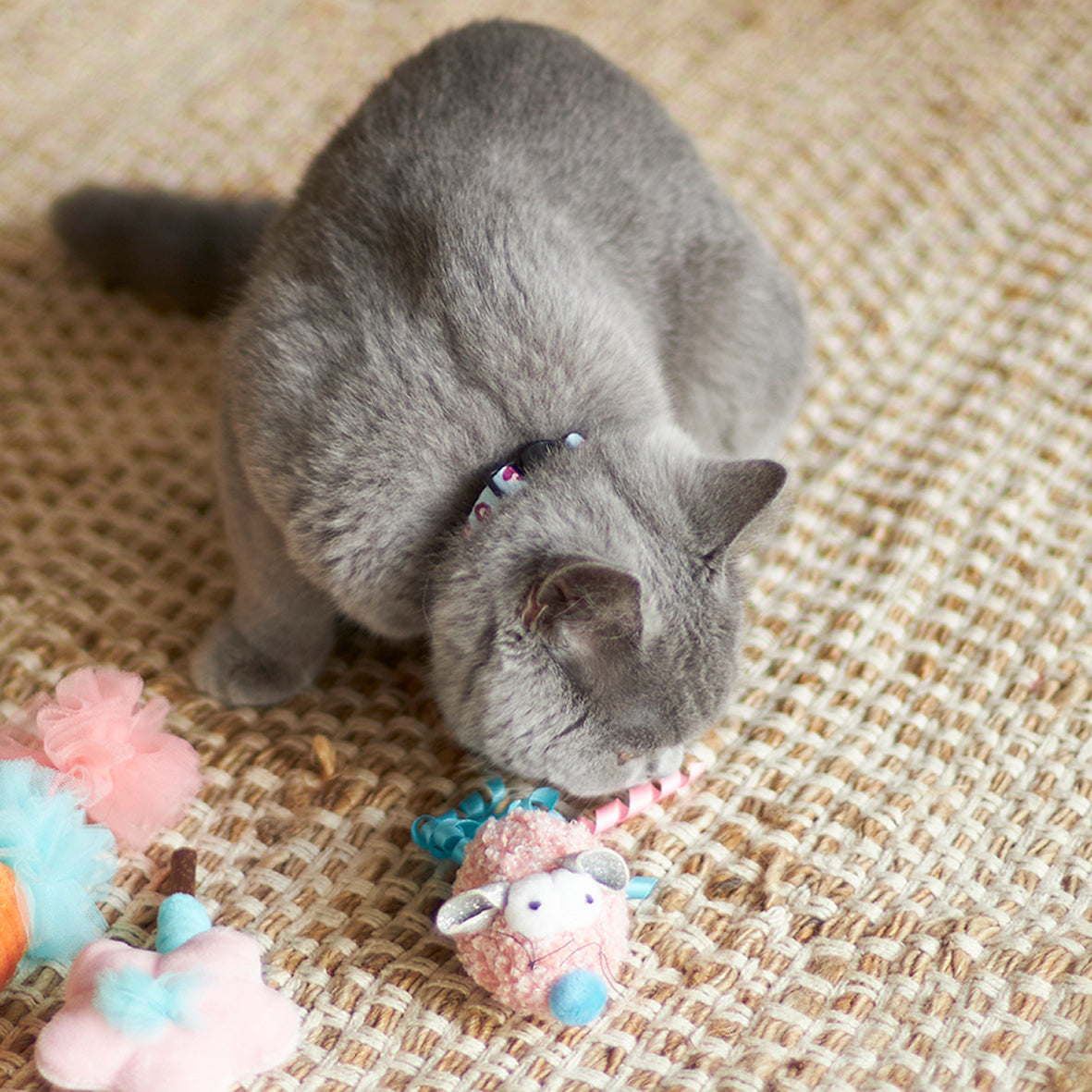 Pinky Mouse with sound chip and catnip