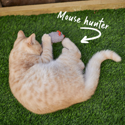 Thrice the Mice with catnip