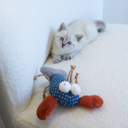 Snappy Lobster with catnip and straw