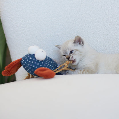 Snappy Lobster with catnip and straw