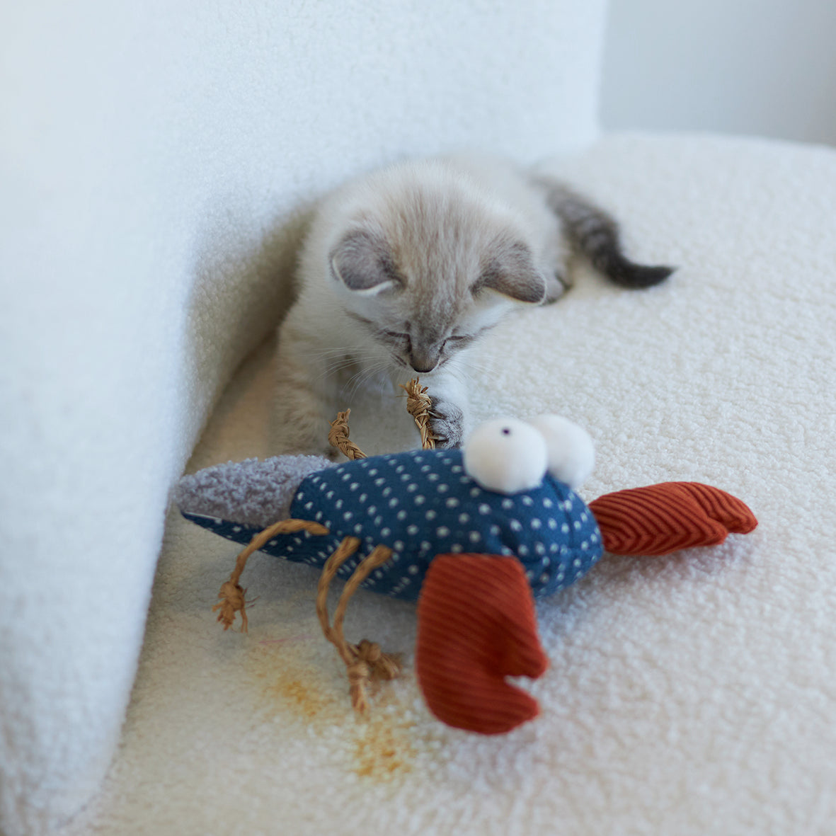 Snappy Lobster with catnip and straw