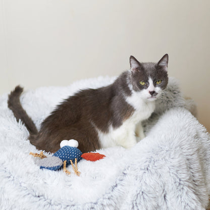 Snappy Lobster with catnip and straw