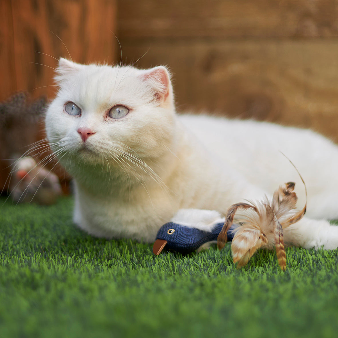 Chirpy Bird with sound chip