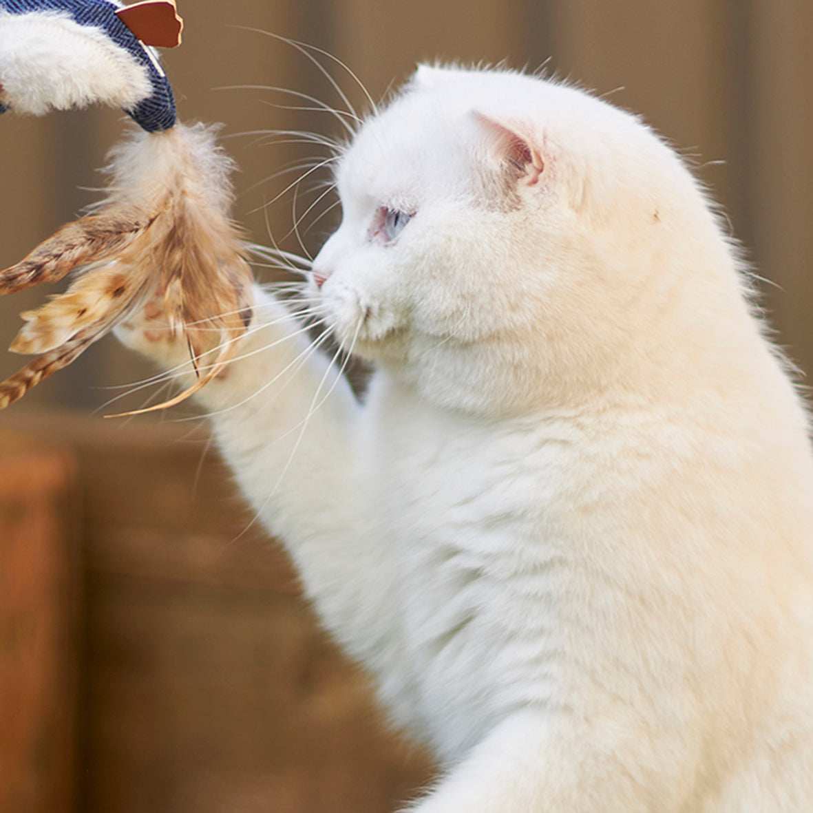 Chirpy Bird with sound chip