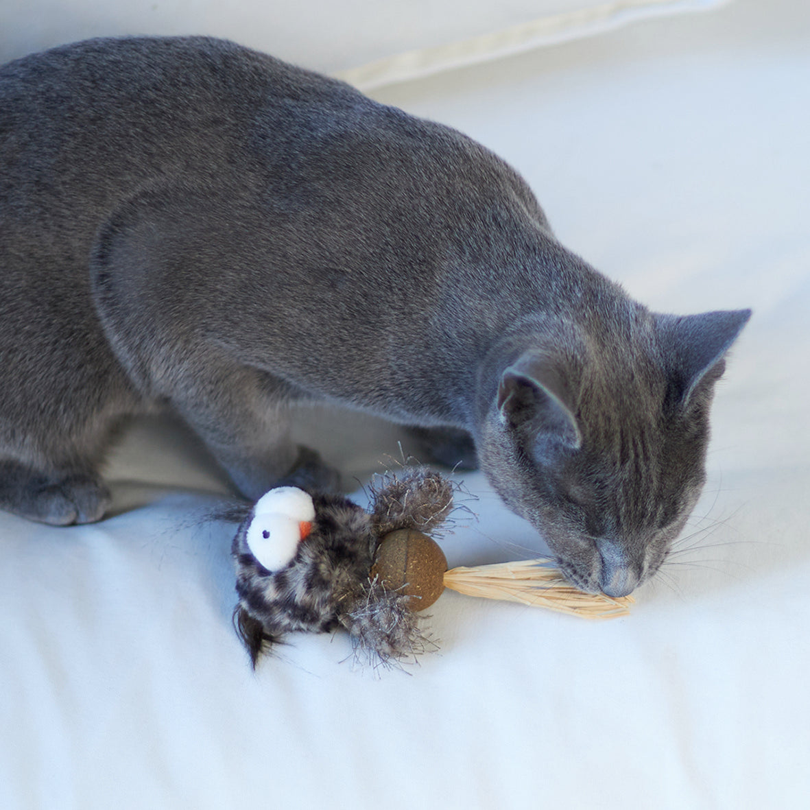 Hooty Owl Cat toy w/ Catnip