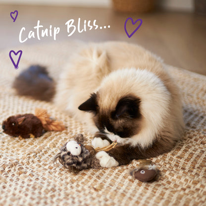 Hooty Owl Cat toy w/ Catnip