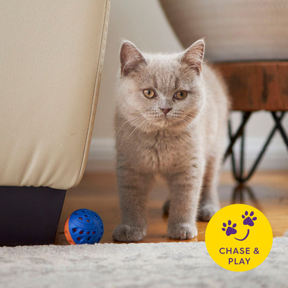 Cat Jingle Bell Ball