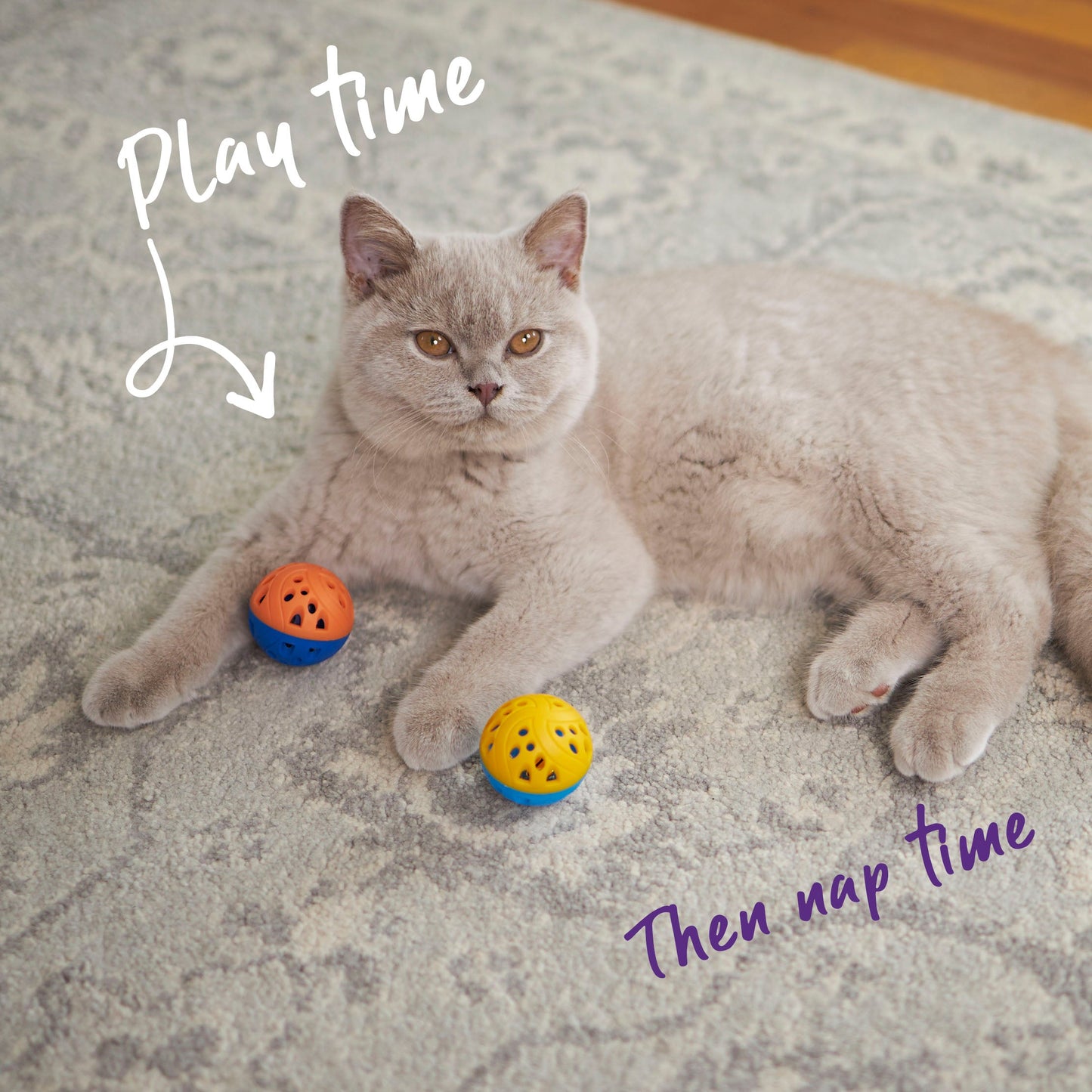 Cat Jingle Bell Ball