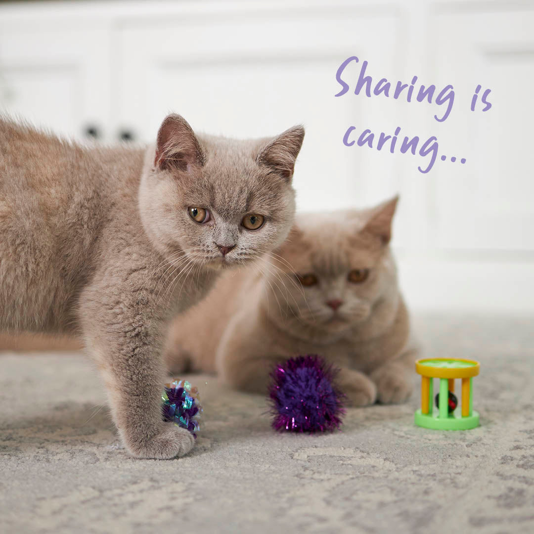 Barrel Rattle Cat Toy