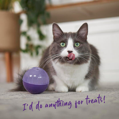 Cat Treat Enrichment Ball